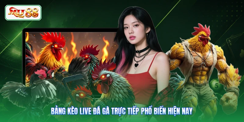 Bảng kèo live đá gà trực tiếp phổ biến hiện nay