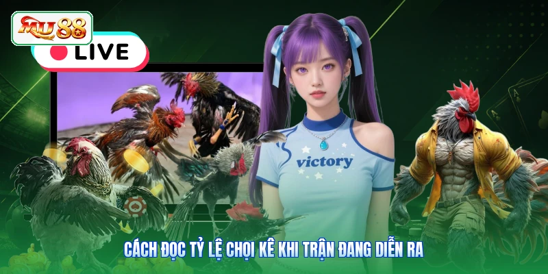 Cách đọc tỷ lệ chọi kê khi trận đang diễn ra