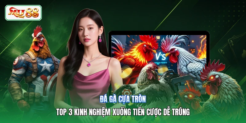 Đá Gà Cựa Tròn | Top 3 Kinh Nghiệm Xuống Tiền Cược Dễ Trúng