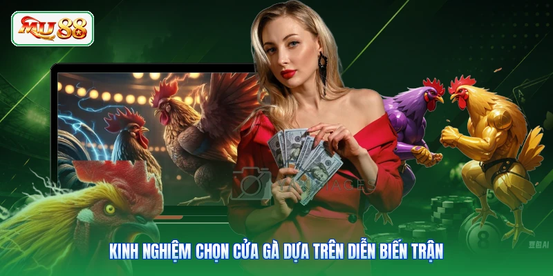 Kinh nghiệm chọn cửa gà dựa trên diễn biến trận