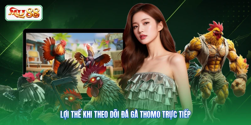 Lợi thế khi theo dõi đá gà Thomo trực tiếp
