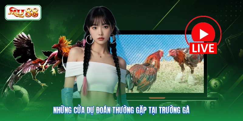 Những cửa dự đoán thường gặp tại trường gà