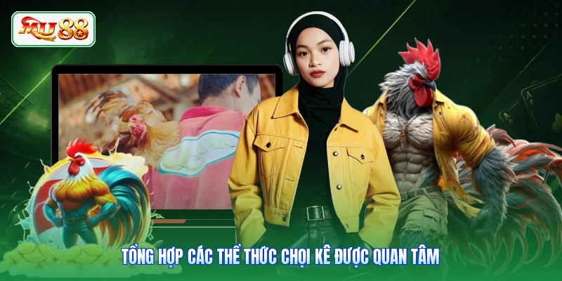 Tổng hợp các thể thức chọi kê được quan tâm